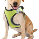 Doggy Safety Harness XS. A:28-30cm B:32-37cm