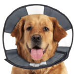 Zencone soft Recovery Collar XLarge